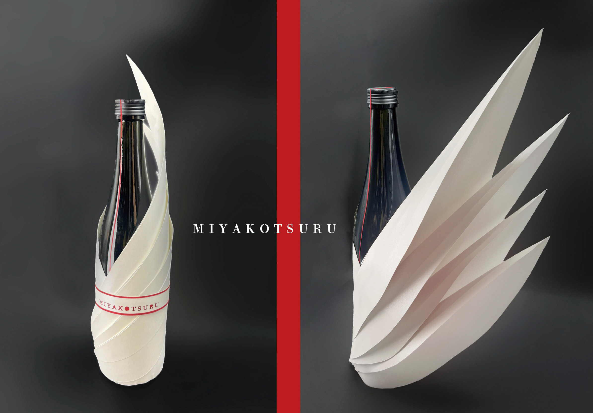 都鶴／ 古野 令奈（帝塚山大学）鶴の羽ばたきの美しさを表現した作品